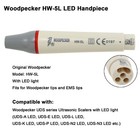 Woodpecker Dte Dental Ultrasonic Scaler Led Handpiece Hw-5l Hd-7l Piezo Tips Gd1