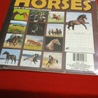 Horses 2018 12 Month Wall Calendar Model Horses Mpn 39227 1523