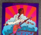 Bg-193 1969 Poster Chuck Berry Aum Loading Zone Fillmore Sf Greg Irons 