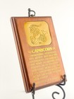 Vintage Capricorn Wall Plaque With Zodiac Traits  Mid-century Astrology Decor