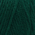 Red Heart Super Saver Yarn Hunter Green 100  Acrylic Worsted Weight 364 Yards