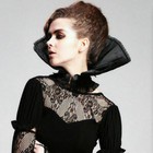 Steampunk Vintage Palace Style Lady Gothic Lace High Collar Women s Black Choker