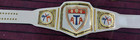 New Martial Arts  Taekwondo Championship Trophy Belt  Karate Champions  Belts