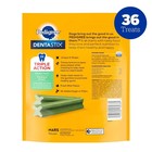 Dentastix Large Dog Treats Fresh Flavor 1 87 Lb Bag 36 Count