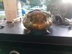 Vintage French Jardiniere  Solid Brass Planter With Brass Insert
