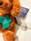New Shining Star Irish Eyes Are Smiling Brown Dog Plush 8  Unused Code   