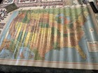Large Vtg Wall Map Rand Mcnally Cosmopolitan United States Vinyl Paper 34  X 52   