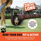 Epic Dog Agility Tunnels Set - 4 Way Plus  Orange black  Free Fast Shipping  