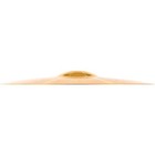 Meinl Hcs Crash ride Cymbal 18 In 