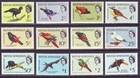 British Honduras 1962 Sc 137-178 Mh Set Bird
