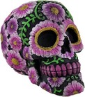 Day Of The Dead Sugar Skull Coin Bank     Black   Pink Dia De Los Muertos Deco