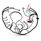 Stand Alone Wiring Harness For Ls Truck 99-06 W  T56 Th350 Th400 700r4 1997-06