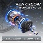 Airwest 750w Motor 48v 7 Speed 26 In Commuting E Bikes For Adults Free Shipping