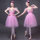 New Adult Ballet Tutu Dress Dance Costume Performance Romantic Stage Dress
