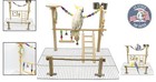 Eco-friendly Bird Playground Gym For Parrots And Small Birds - Play Stand Set