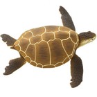 Green Sea Turtle Sea Life Figure - Hand Painted   Collectible Toy - Safari Ltd