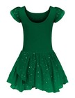 Girls Ruffle Sleeve Ballet Dance Dress Tutu Skirted Leotard  green 6-7y 