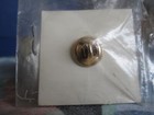 Vintage Apple Macintosh Computer Rainbow Logo Pin Lapel Rare