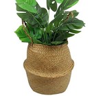 Woven Seagrass Belly Basket For Storage Plant Pot Indoorbdecorative Sturdy And D