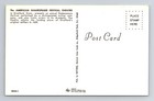 Stratford Ct-connecticut American Shakespeare Festival Theatre Vintage Postcard