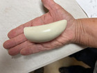 Blank Sperm Whale Replica Tooth Ready To Scrimshaw  0