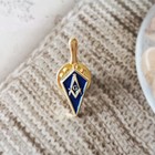 Masonic Lapel Pins Freemasonary Badge Mason Freemason Trowel G 3d Spade Cartoon 