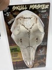 New Mountain Mike s Skull Master Large Deer European Mount Kit  5  Antler Bases