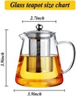 19oz Large Glass Teapot With Removable Infuser Stovetop Safe Tea Kettle Tea Pot