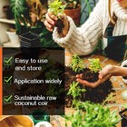 1 2 3packs 5000g Pure Natural Coco Coir Bricks Organic Garden Plant Growing Soil