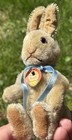 Original 6    Steiff Nikki German Nikki Steiff Rabbit Fully Jointed Chest Tag Nice