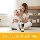 Wellements Organic Baby Tooth Oil Teething Gum Soothe 4 Months  0 5 Fl Oz