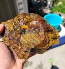 Rare Unique Brecciated Jasper-agate Rough  dendritic  From Utah 5 08 Lb