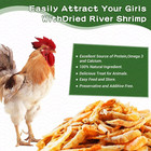 5lbs 11lbs High Protein Red Dried Shrimp For Turtles Koi Poultry Fish Birds