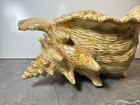 Large Vintage Atlantic Mold Ceramic Conch Sea Shell Planter vase beach Decor