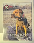 Adba American Pit Bull Terrier Gazette Fall 2017 Vol 42 Issue 1 Mal Kant Knls