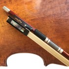 Violin Bow 4 4size Pernambuco Wood Skin Carbon Fiber Horse Hair Top Quality New