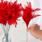 Set Of 12 Individual Beaded Red Feather 14  Floral Sprays