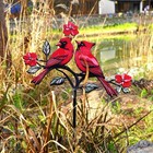Vkevoc Red Cardinal Garden Stake  Metal Outdoor Decor For Patio   Yardred Car   