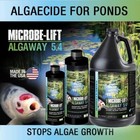 Microbe Lift Algaway 5 4  2 5 Gallon Algaecide For Ponds Alga2 5