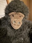 Life Size Koko Dakin Stuffed Gorilla 50  Tall  89    Arm Span With Kitten  1986 