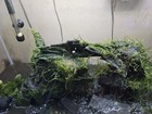 29 Gallon Glass Led Aquarium Kit With Filter  2nd Led Light   Accessories