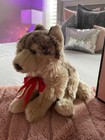 Rare Ganz Webkinz Husky Gray White Wolf Dog Plush Retiredstuffedanimal  no Code 