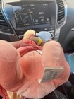 Discontinued Disney Parks Babies Winnie The Pooh Plush New Without Tags