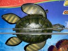 Swim Ways Rainbow Reef Sea Turtle Real Life Swimming Pool Fish New Combo Pack