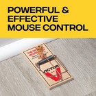 Victor Metal Pedal Mouse Traps  12-pack  Reusable Wooden Snap Traps Wood