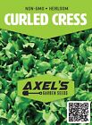 Curled Cress Seeds   Heirloom   Non-gmo   Fresh Herb Seeds