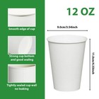 1000 Pack 12 Oz Paper Cups Disposable Paper Cups Coffee Cups White Hot Cups