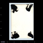 Old Vintage Photo Solo Candid Portrait Of Woman