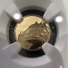 2026 Niue G 1 Gold Ankylosaurus Coin  Ngc Reverse Proof Pf70