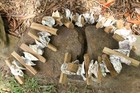 Oyster Bar Hanging Decor Oyster Shells Driftwood Garland  Natural  33    G-83